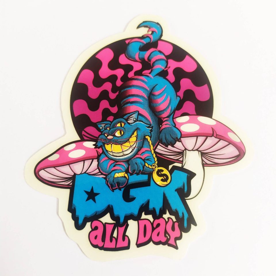 DGK Skate Sticker