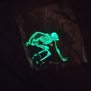 Powell Peralta stickerdolling Skeleton Lapel Pin (Glow in the Dark)