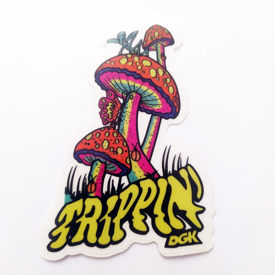 DGK Skate Sticker