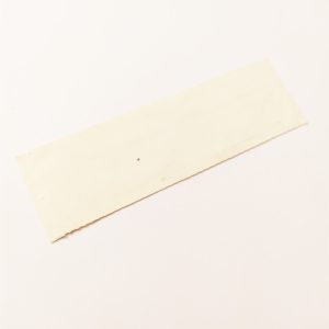 Quiksilver Surf Sticker