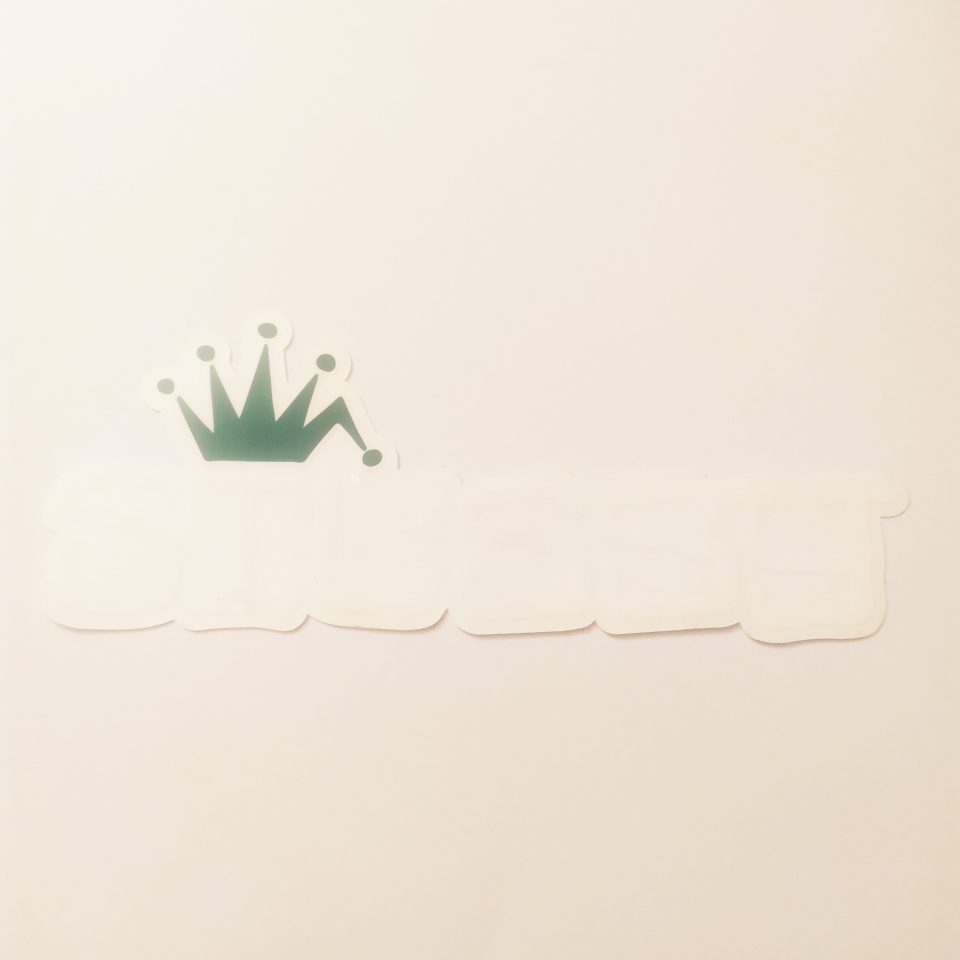 Stussy Clothing Skate Sticker