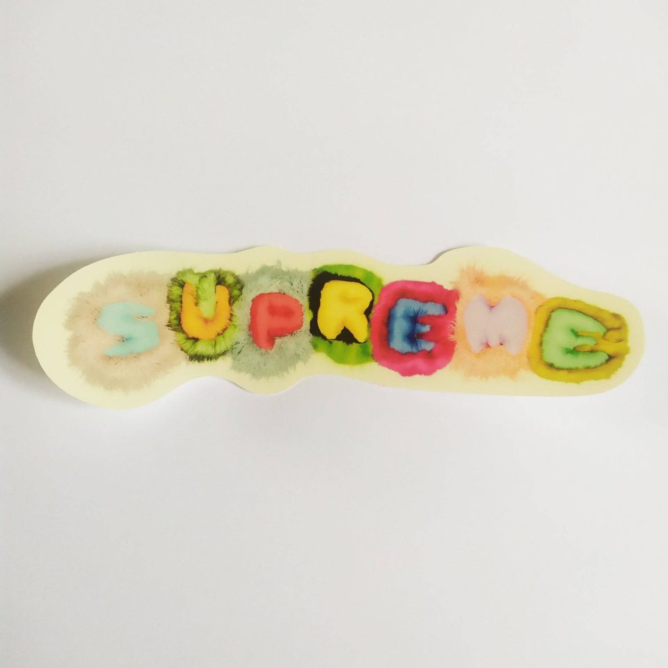  Skate Sticker