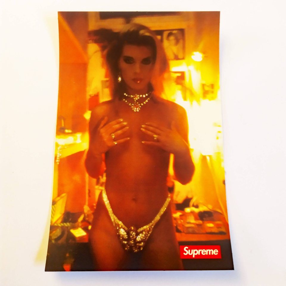  stickerdoll Sticker - Nan Goldin