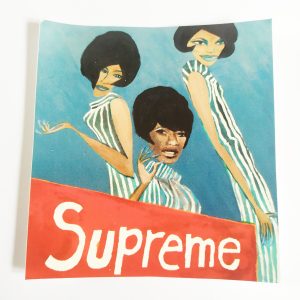 Skate Sticker – The s
