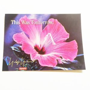 Skate Sticker – This Was Tomorrow